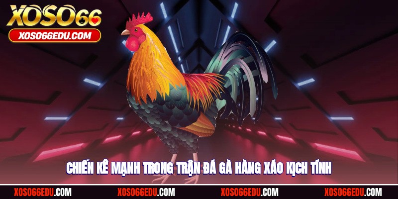 Chiến kê mạnh trong trận đá gà hàng xáo kịch tính